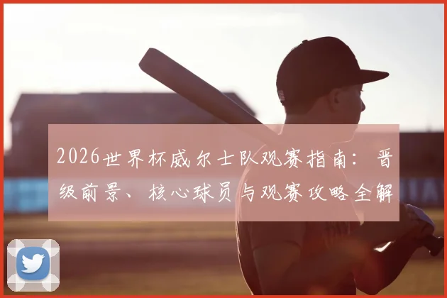 2026世界杯威尔士队观赛指南：晋级前景、核心球员与观赛攻略全解析