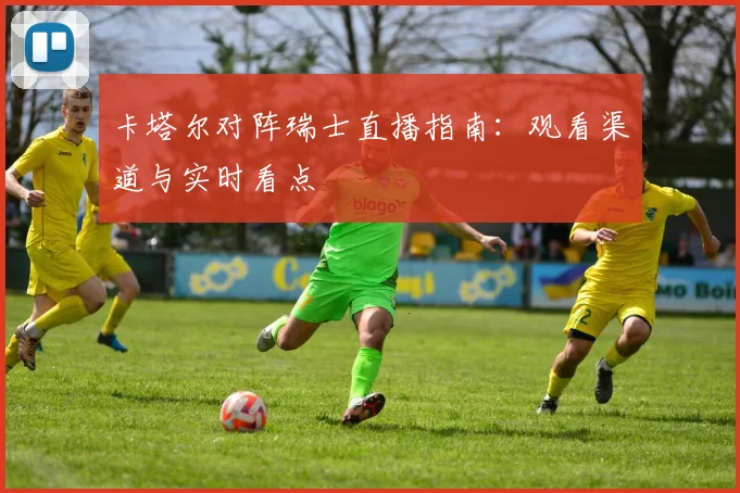 卡塔尔对阵瑞士直播指南：观看渠道与实时看点
